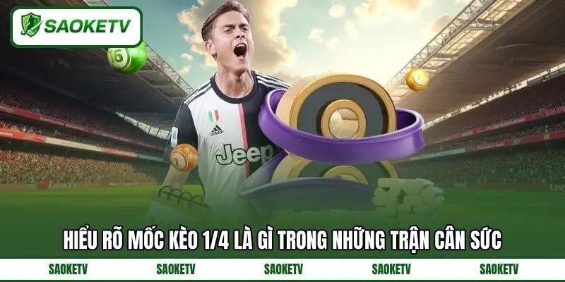 Hiểu rõ mốc kèo 1/4 là gì trong những trận cân sức Hiểu rõ mốc kèo 1/4 là gì trong những trận cân sức